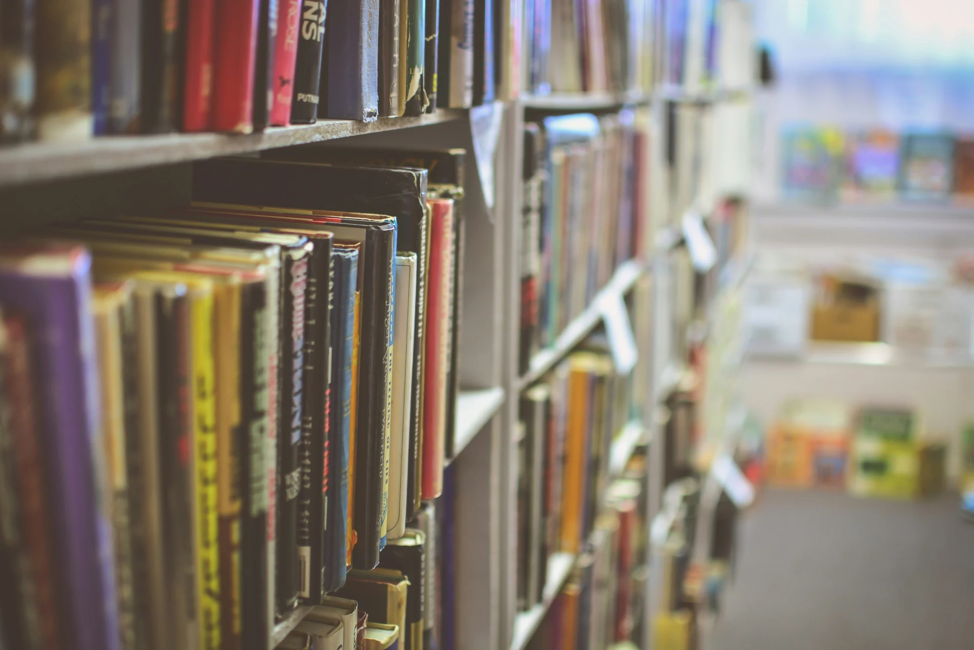 Books organized in a shelf — representative photo, not taken at Caledonia Books