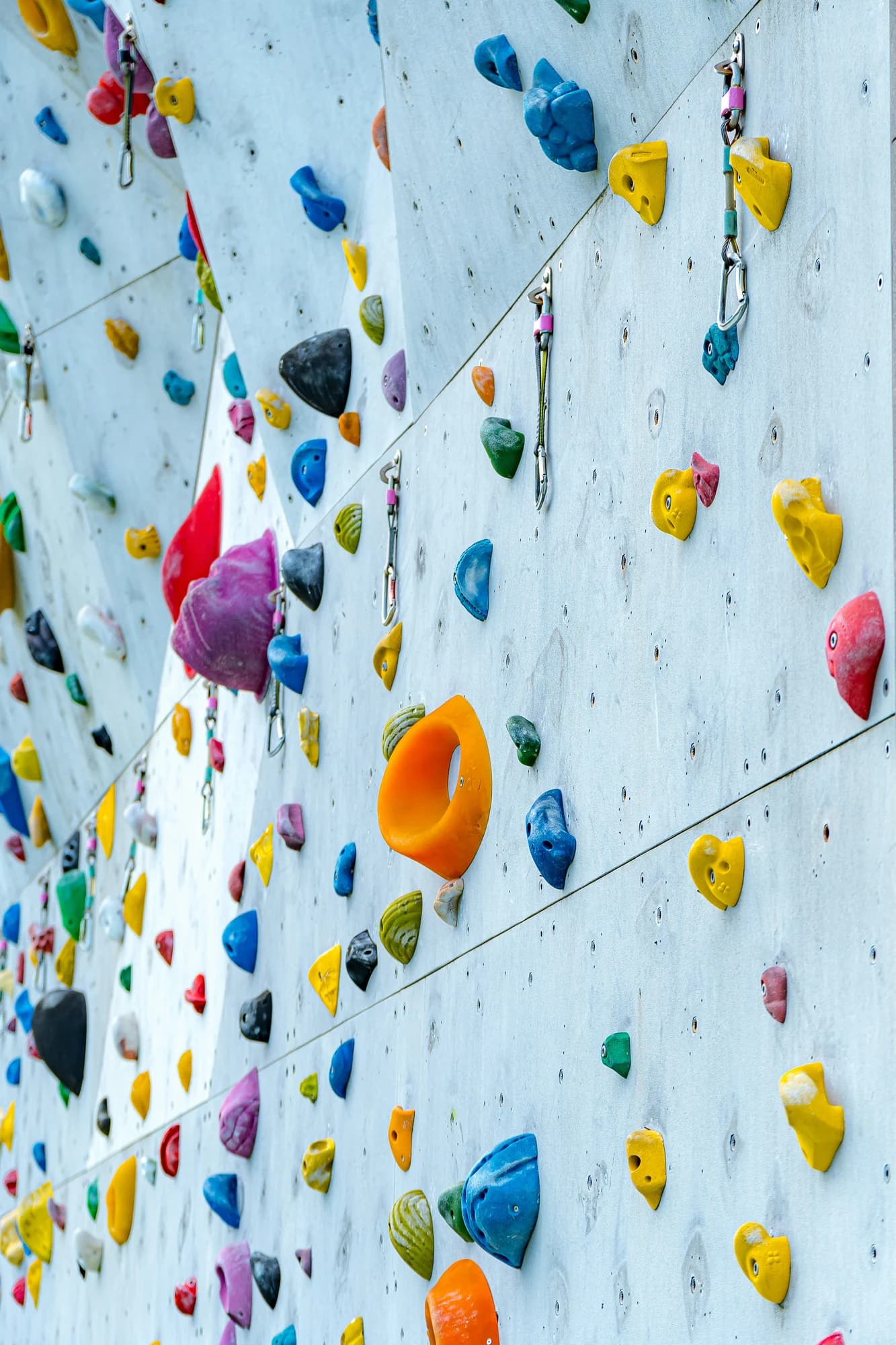 A climbing wall with colorful climbing gear — representative photo, not taken at Clip n Climb Glasgow