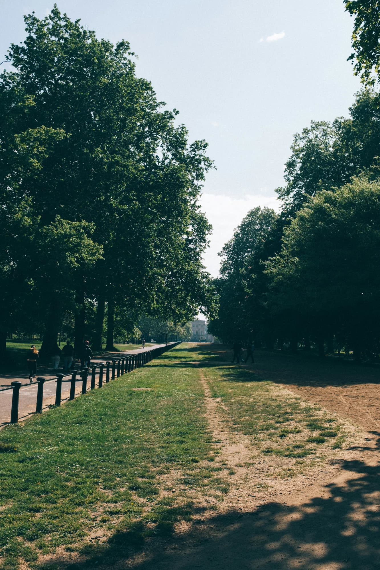 A path through a green park with tall trees — representative photo, not taken at Drumchapel Park
