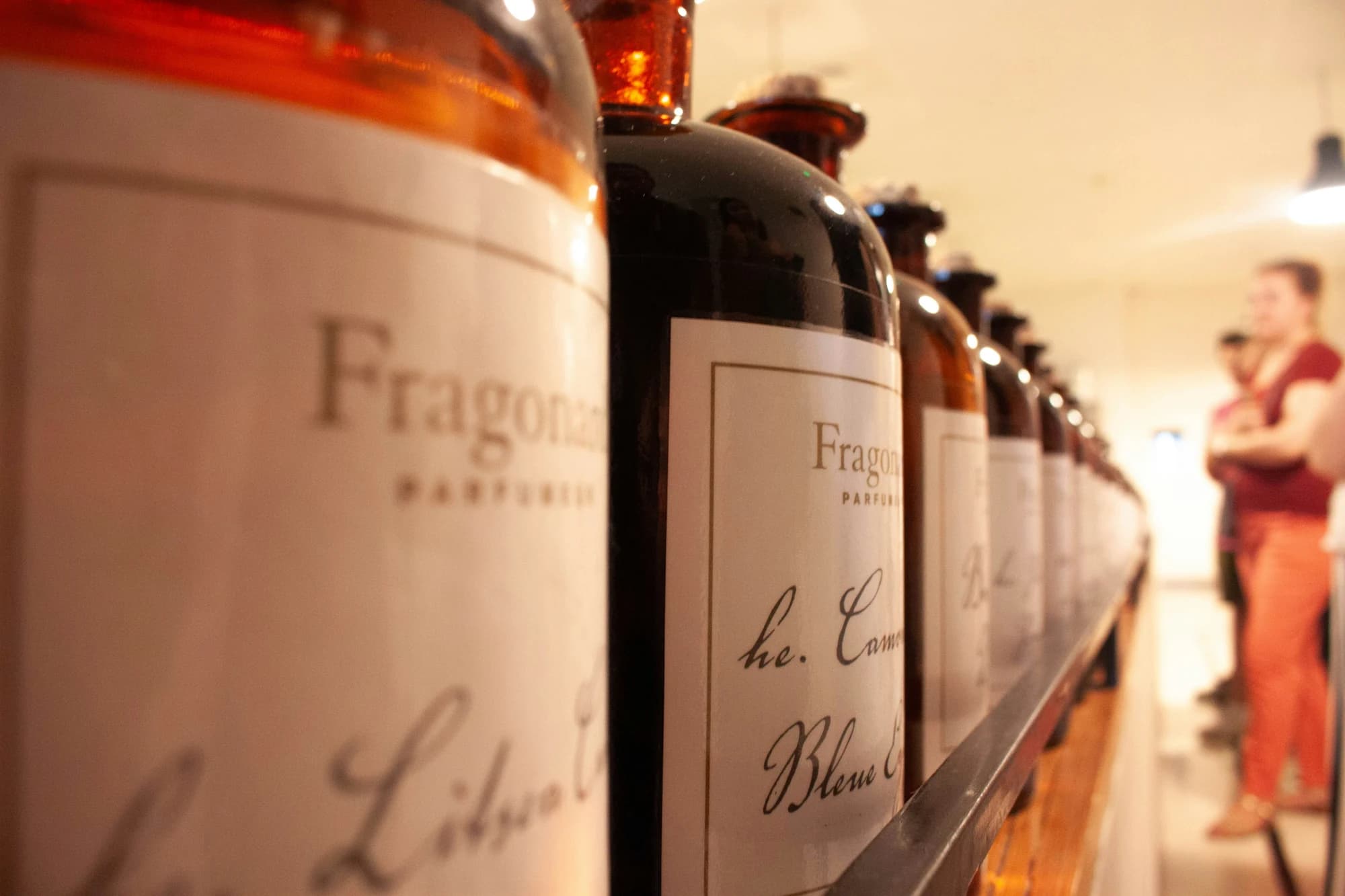 Bottles of perfume lined up on a shelf — representative photo, not taken at Fragrance Shop — St. Enoch