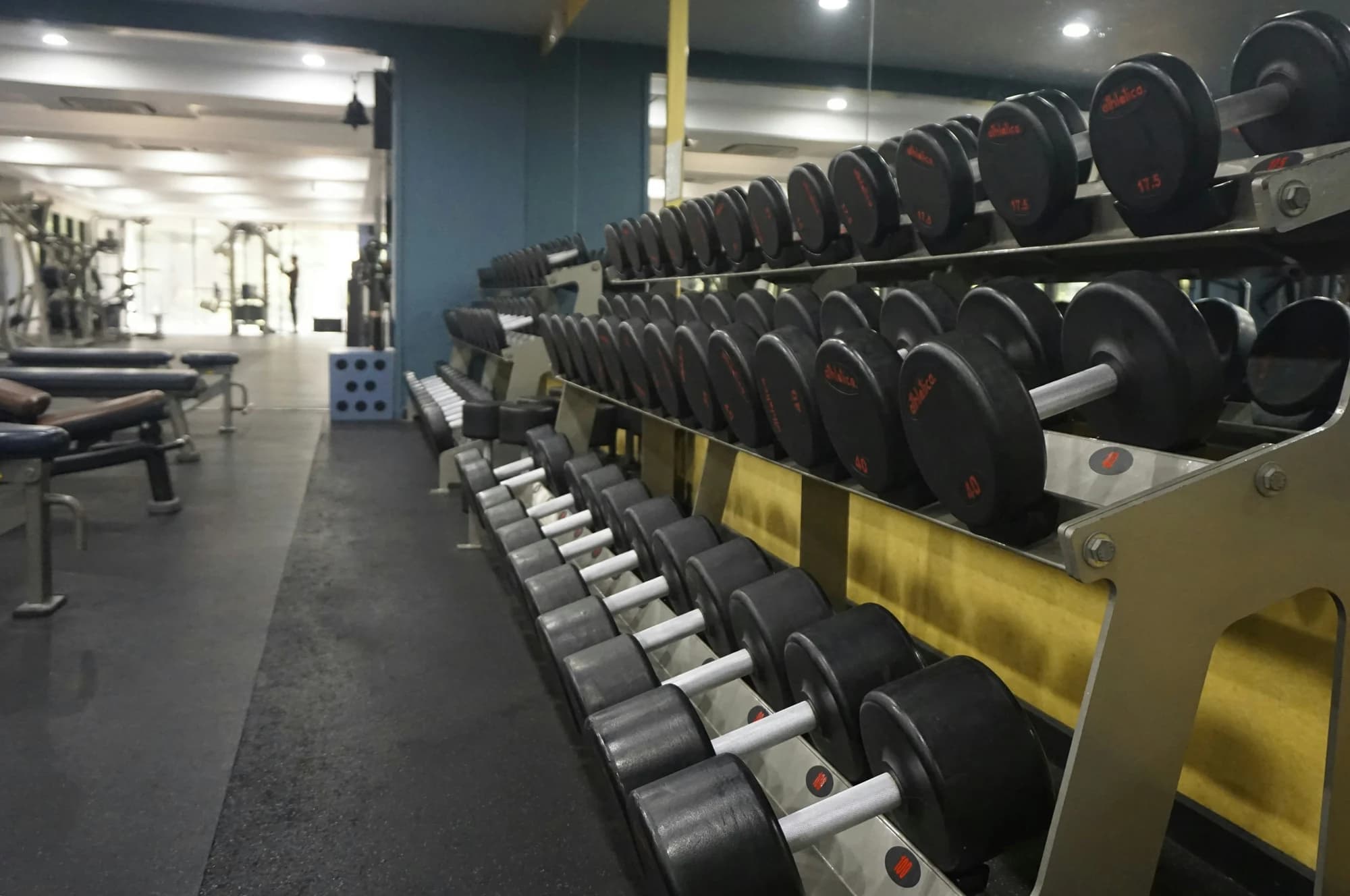 Dumbbells neatly arranged on a rack in a gym. — representative photo, not taken at Glasgow Club Maryhill