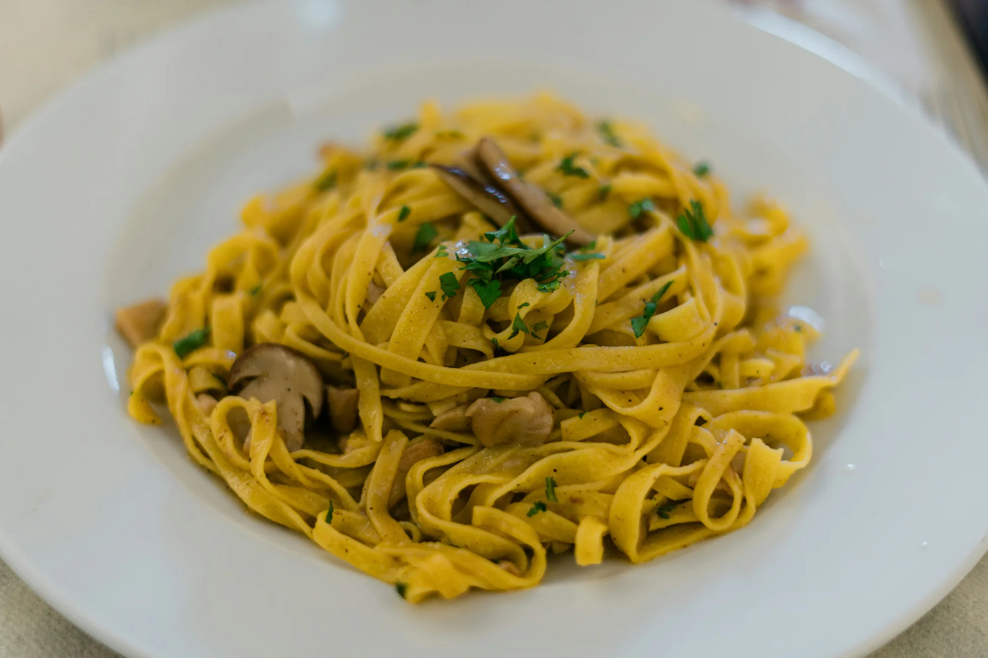 Tagliatelle with porcini mushrooms — representative photo, not taken at La Vita Spuntini — Gordon Street