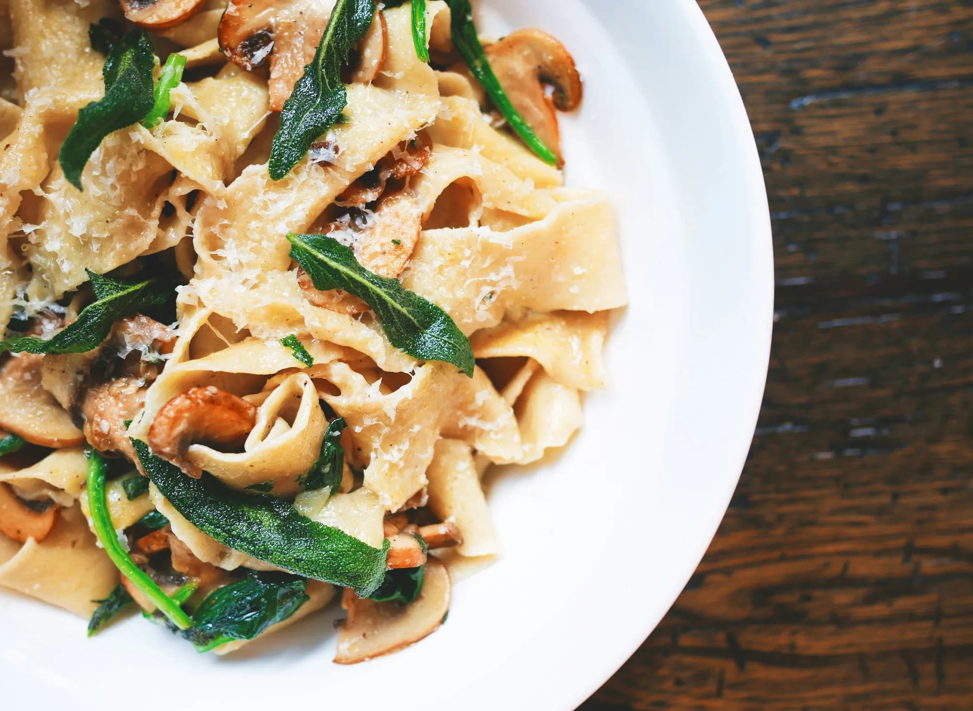 Fresh pasta dish — representative photo, not taken at Sugo Pasta — Mitchell Street