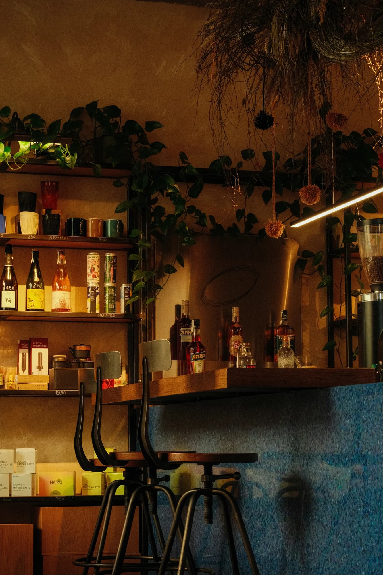 Bar counter with bottles, plants, and stools — representative photo, not taken at Tabac