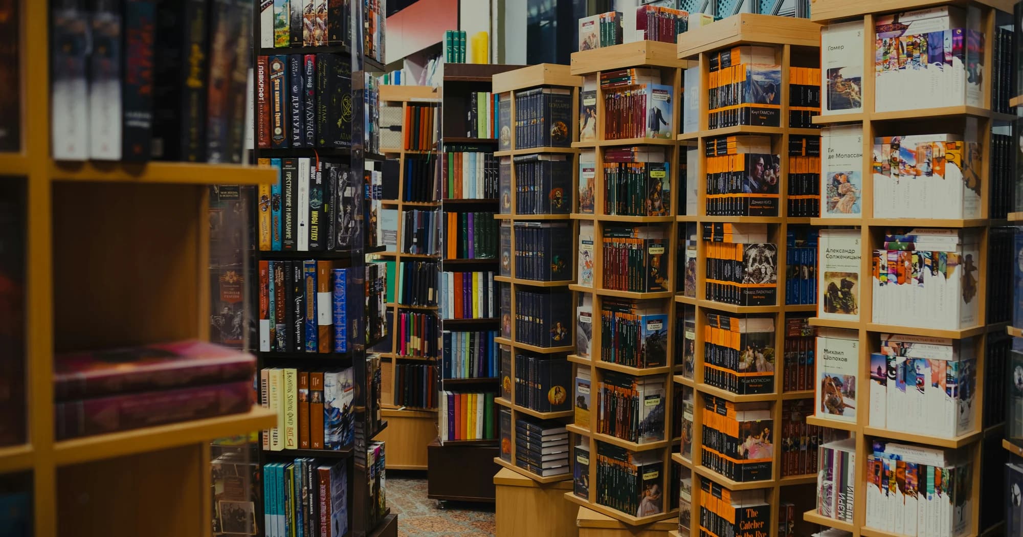 Rows of books on shelves in a bookstore. — representative photo, not taken at Thistle Books