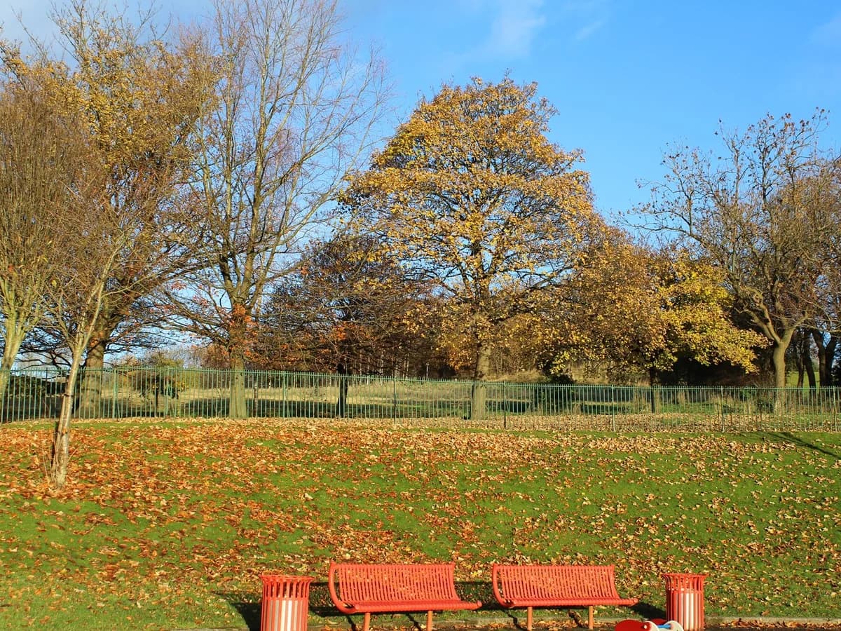 Autumn trees and benches in Alexandra Park, Glasgow