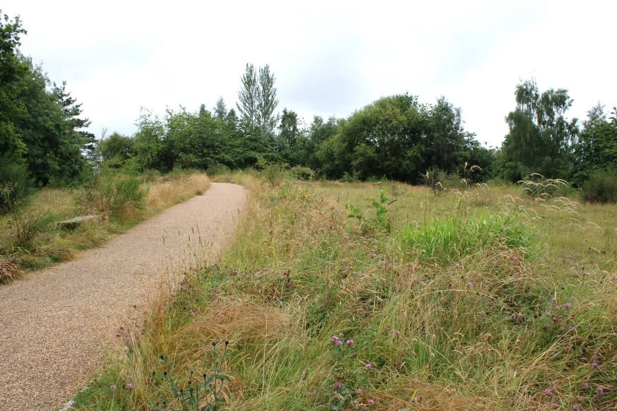A path through Hamiltonhill Claypits Local Nature Reserve, photographed in July 2024